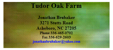 Text Box: Tudor Oak Farm
Jonathan Brubaker
3271 Stutts Road
Asheboro, NC 27205
Phone 336-465-0702
Fax 336-629-2603
jonathanbrubaker@yahoo.com
&nbsp;

